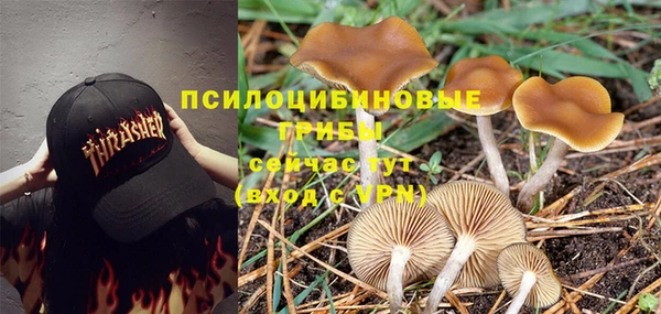 кокс Ветлуга