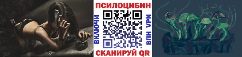 Галлюциногенные грибы Psilocybine cubensis  Слюдянка 